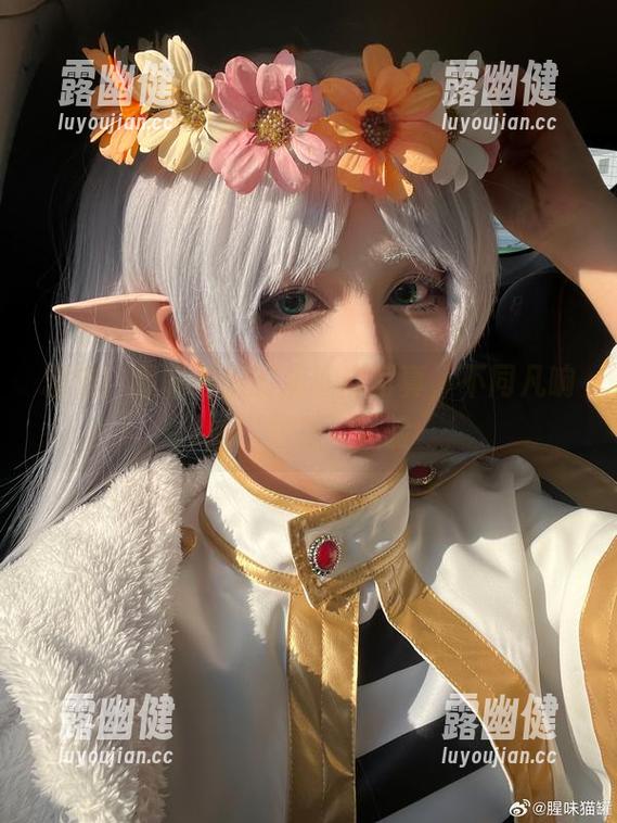 精选！腥味猫罐的魔理沙写真，不同凡响的“腥味”体验